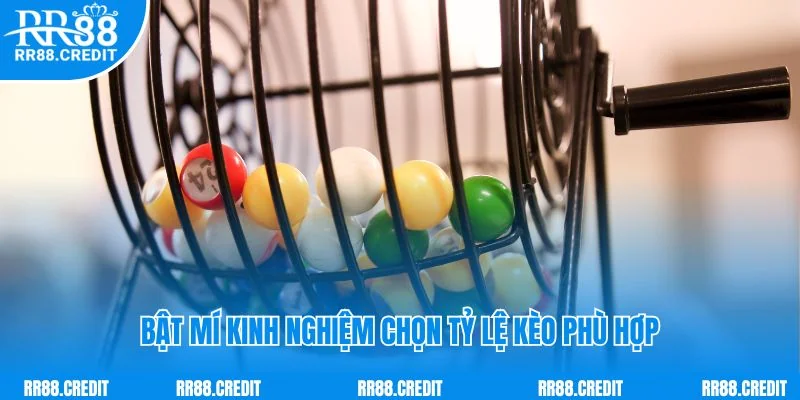 Bật mí kinh nghiệm chọn tỷ lệ kèo phù hợp